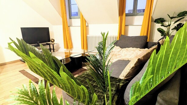 A modern living room with a sofa, a coffee table, and a TV. There are large windows with curtains, and a plant is visible. - "La Citadelle - Duplex with view of Château-fort (Sedan)