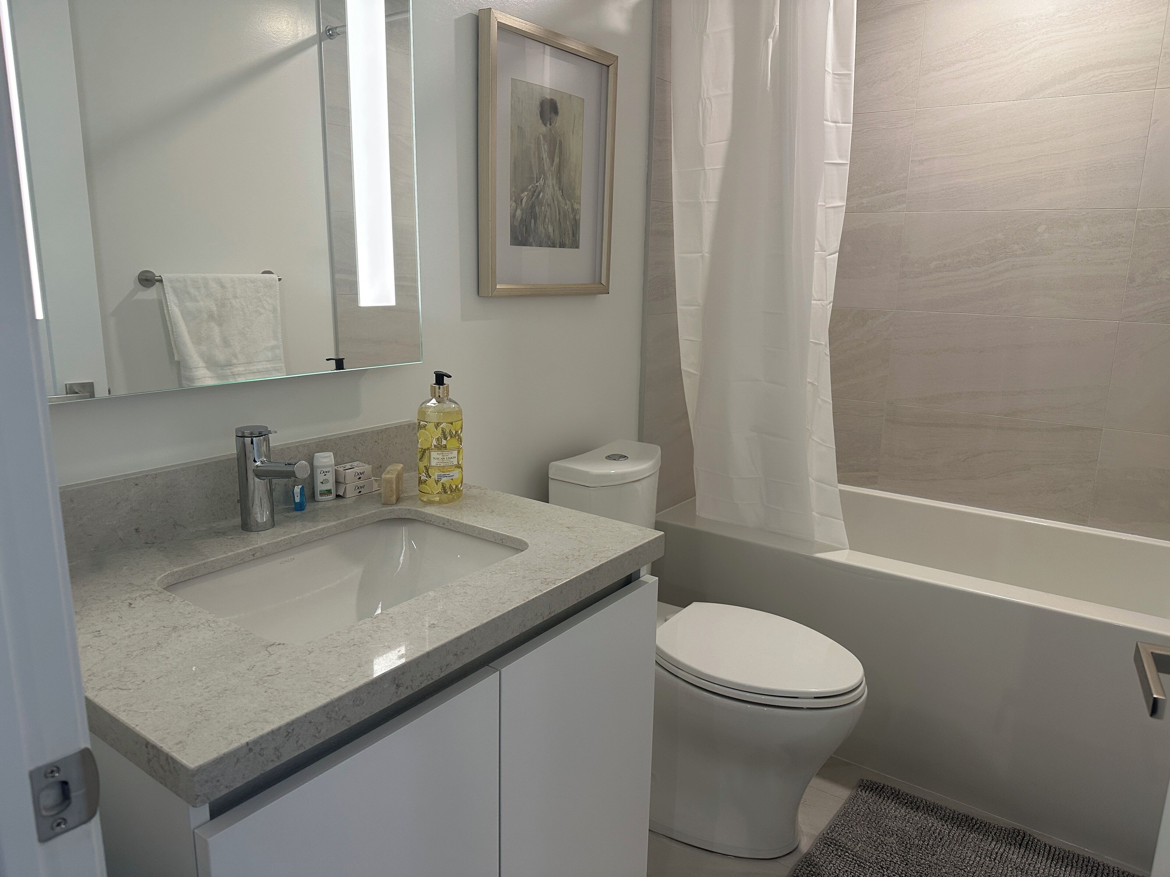 Hair dryer, towels, soap, toilet paper