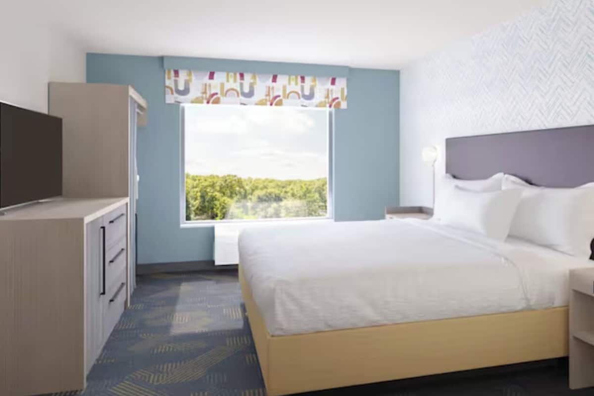 Habitación de hotel con cama, televisor, escritorio y ventana con vistas a zonas verdes.