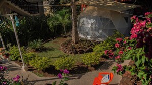 Un jardín con una tienda de campaña, una silla y una escalera.