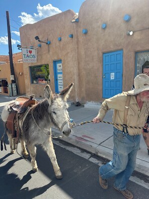 Miscellaneous - Charming 2-bedroom house in pleasant El Prado with WiFi (El Prado)