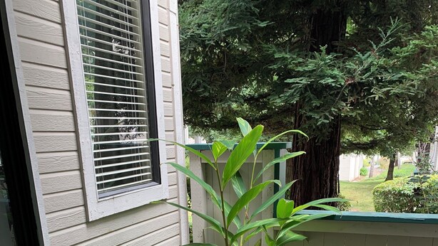 A house with a porch, a potted plant, and a blue striped mat. - Adorable condo with WiFi in charming neighborhood (Richmond)