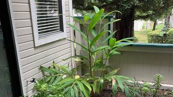 DĂ©tail de lâextĂ©rieur