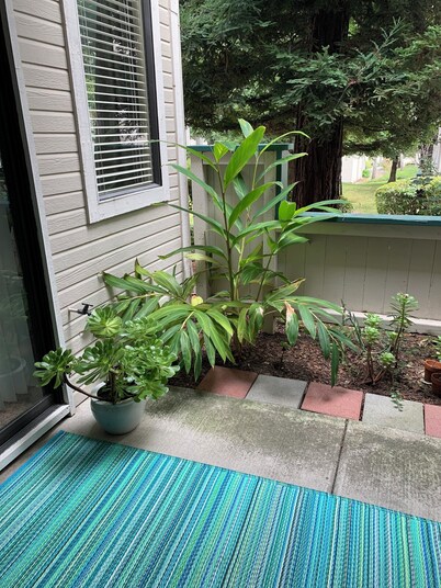 Adorable condo with WiFi in charming neighborhood