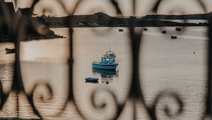 Blick auf ruhiges Gewässer mit einem Boot in der Ferne, durch eine verzierte Metallzäune hindurch.
