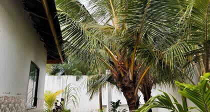 Palm hide.