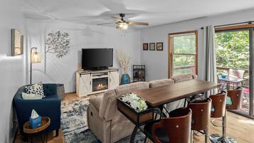 Smart TV, fireplace, books