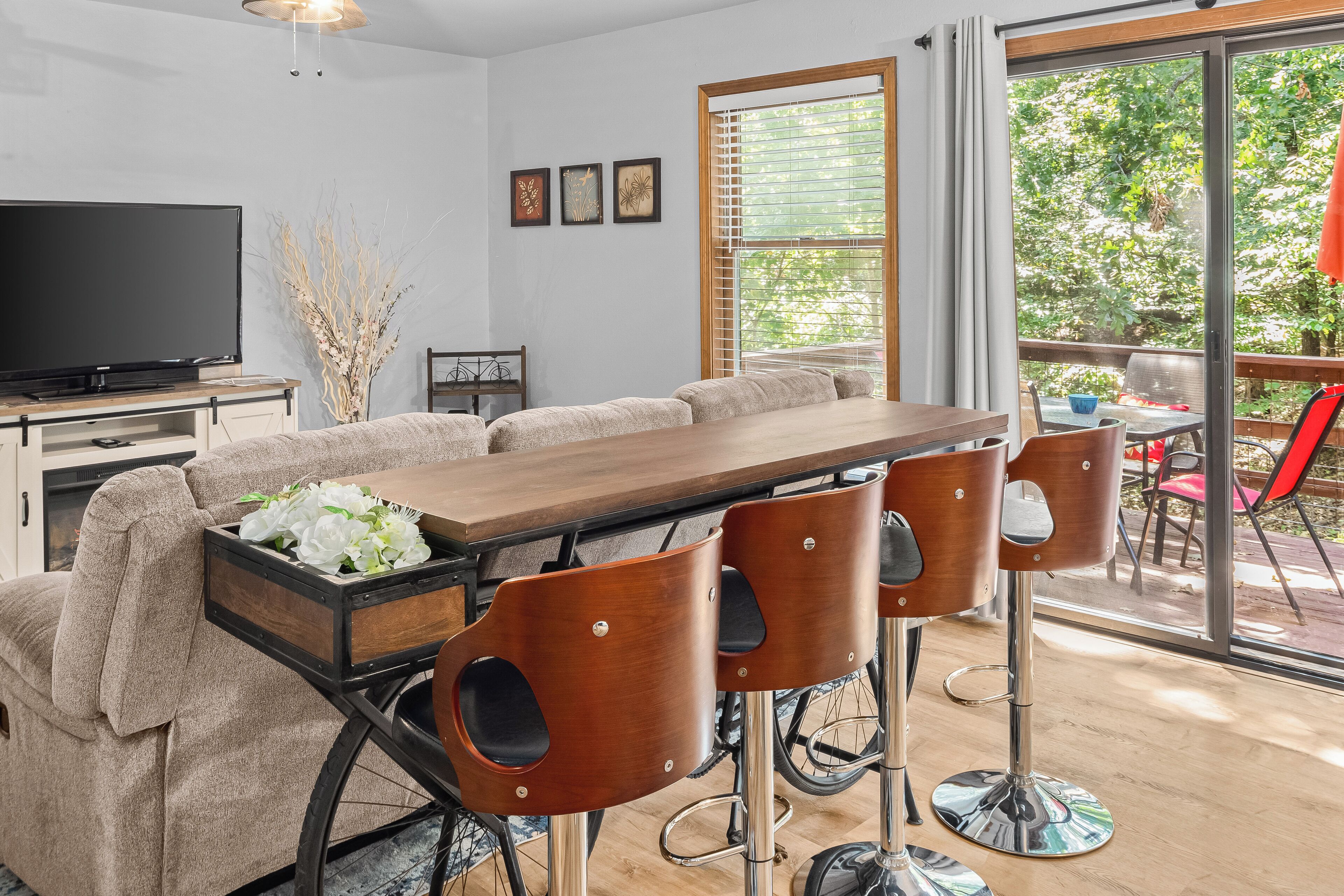 Smart TV, fireplace, books