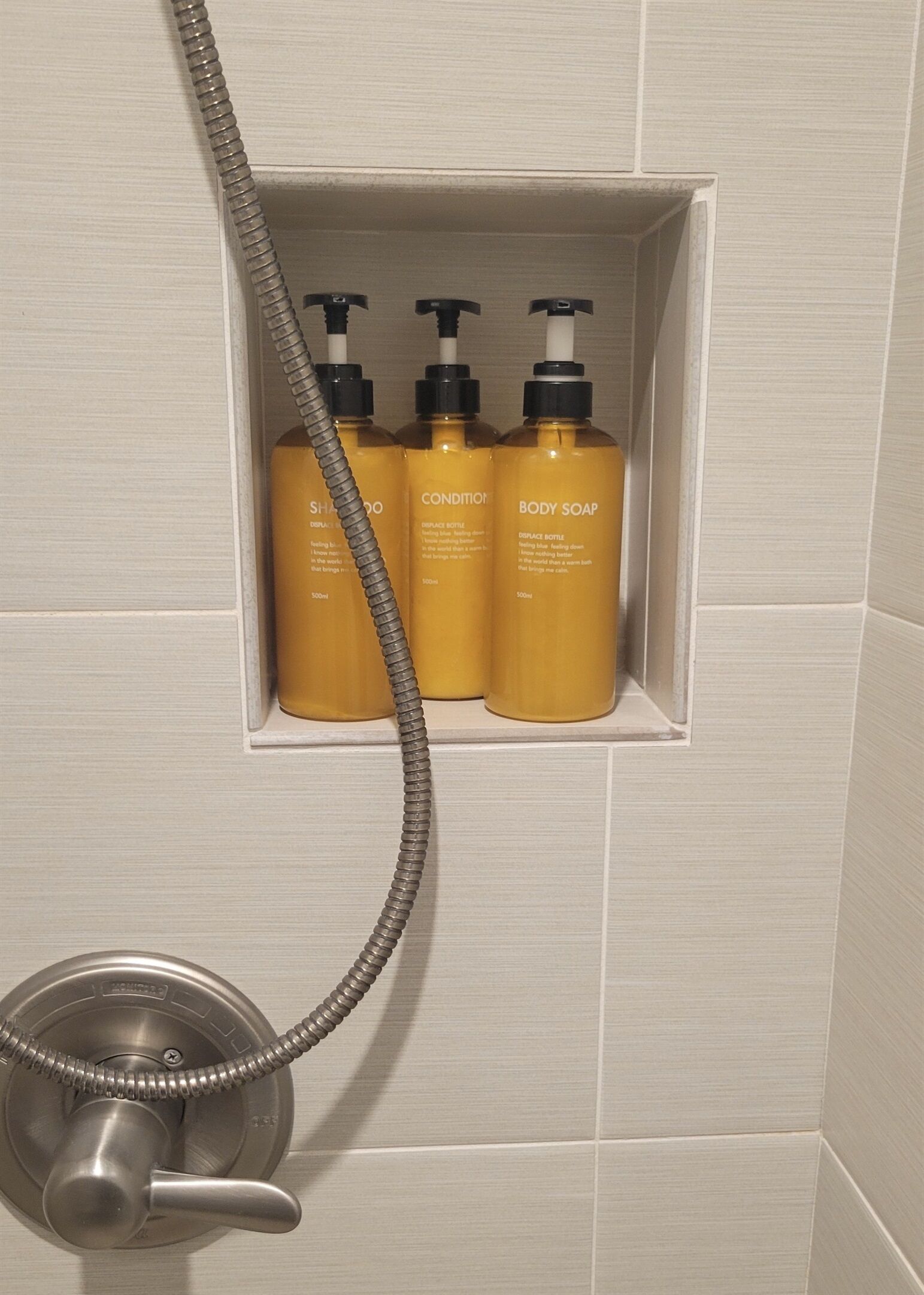 Une salle de bain avec un espace douche comprenant un pommeau de douche à main et trois flacons de savon pour le corps.
