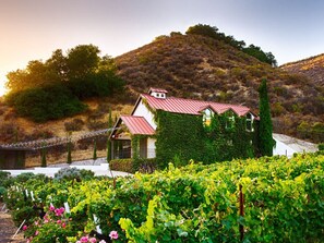 Exterior - The Vineyard House in the Pastures of Heaven (Corral de Tierra)
