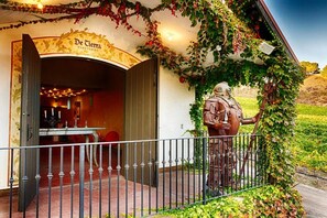 Unclassified image, 4 of 51, button