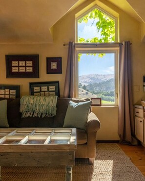 TV, stereo - The Vineyard House in the Pastures of Heaven (Corral de Tierra)