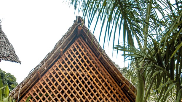 Una cabaña con techo de paja y una escalera de madera que lleva a una cama, rodeada de exuberante vegetación tropical.