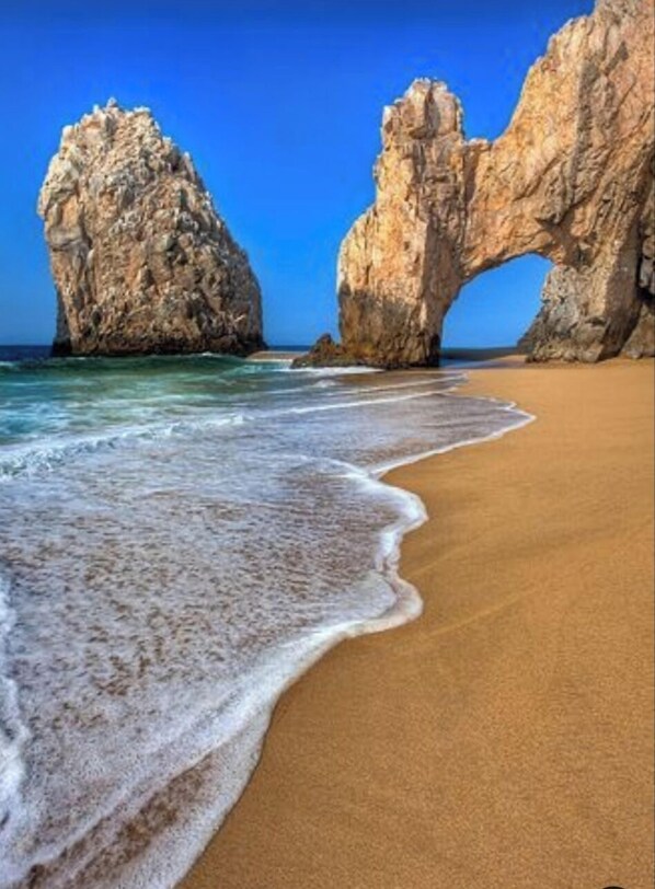 Outdoor wedding area