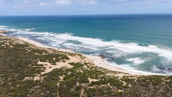 Unclassified image, 1 of 37, button