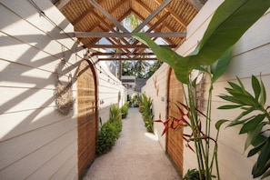 Jardim