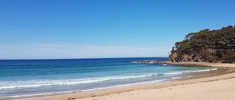 Serviettes de plage