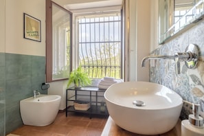 Shower, hair dryer, bidet, towels