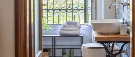 Regadera, secadora de cabello, bidet, toallas