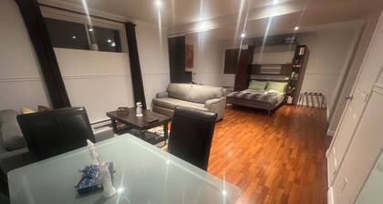 Style bachelor-sous-sol complet privé SDB, coin repas, Domaine Vert-Sud, Mirabel