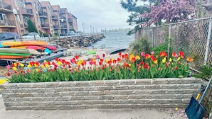 Une promenade en bord de mer, avec un parterre en pierre rempli de tulipes aux couleurs vives, une rangée de voitures garées et, au fond, un immeuble doté de balcons.
