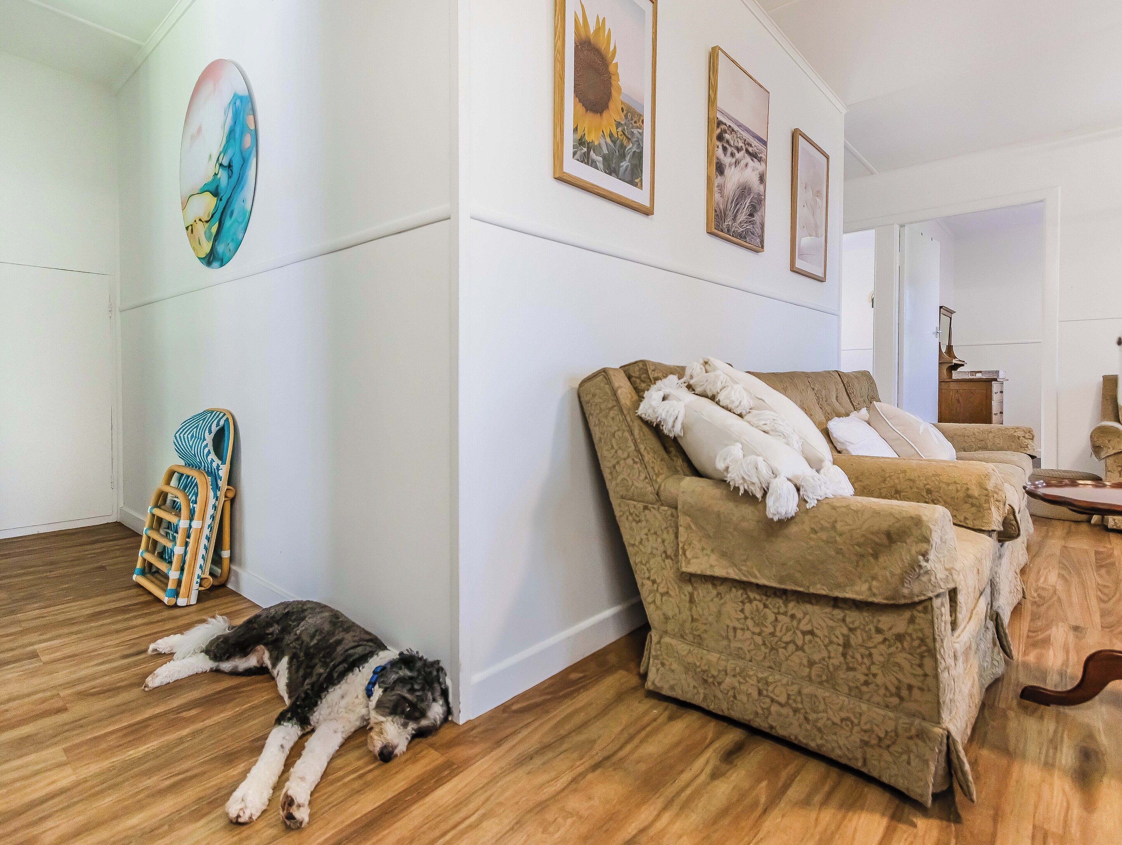 A living room with a dog lying on the floor, a beige sofa with a throw blanket, and a wall with framed artwork.