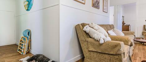 A living room with a dog lying on the floor, a beige sofa with a throw blanket, and a wall with framed artwork.