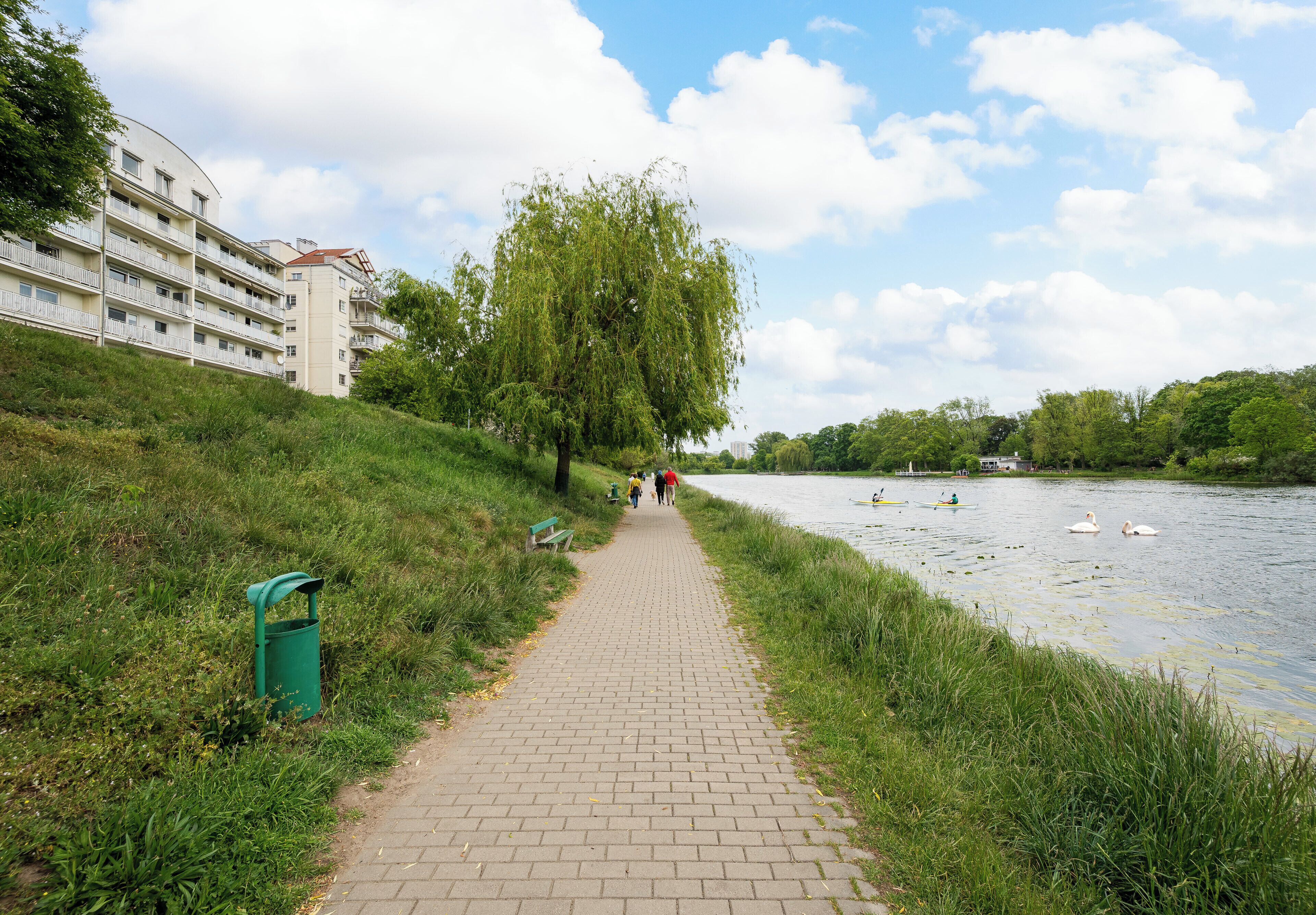 Een verhard pad langs een rivier, met eenden, een bankje en een groene prullenbak.