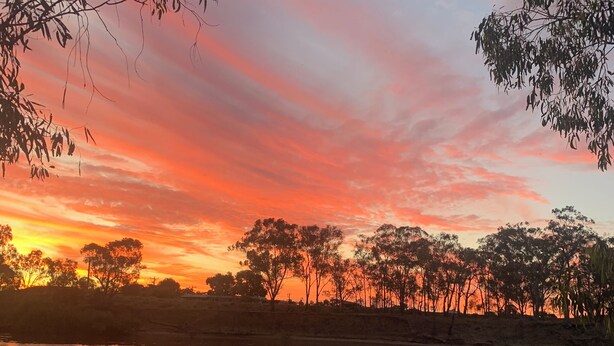 Un atardecer sobre un lago tranquilo, con árboles silueteados contra el cielo, una orilla arenosa con una tabla de remo y un remo rojo, y un pequeño bote.