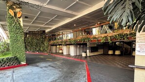 A spacious lobby with a checkered floor, a red line marking a path, and a wall adorned with greenery and a wooden column with two paddles. - Waikiki Studio with Stunning Views! (Honolulu)