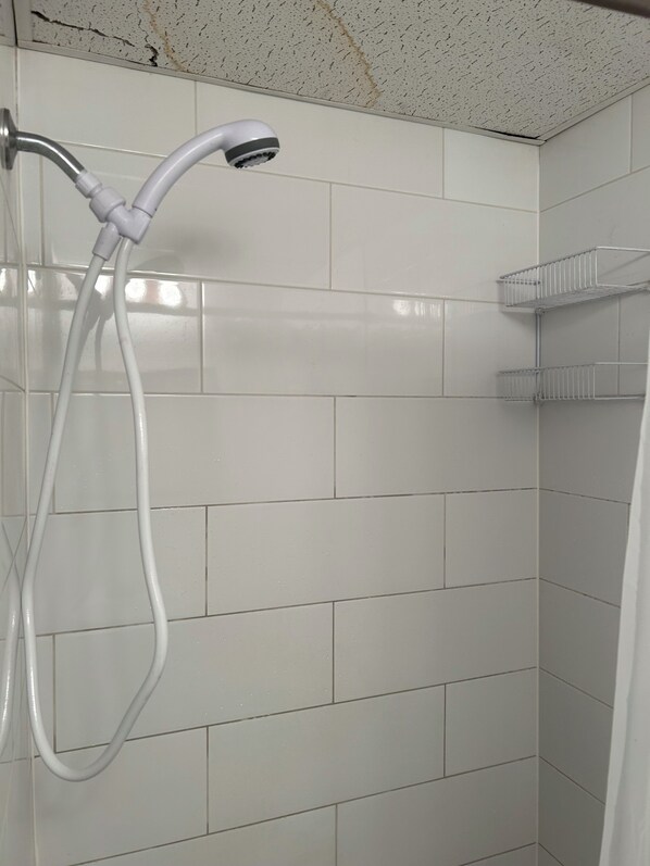 Shower, hair dryer, soap, toilet paper