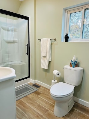 Shower, hair dryer, towels, soap - Charming 2-bedroom house in historical Galesburg neighborhood (Galesburg)