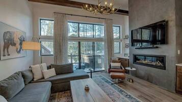 Télévision, cheminée, jeux vidéo, espaces bureaux