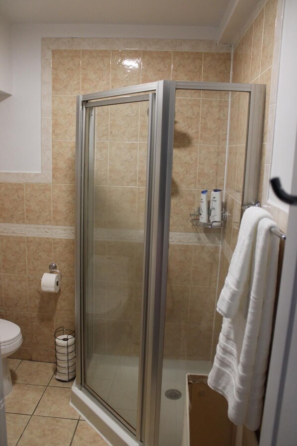 A shower with a glass door, a toilet, and a towel rack.
