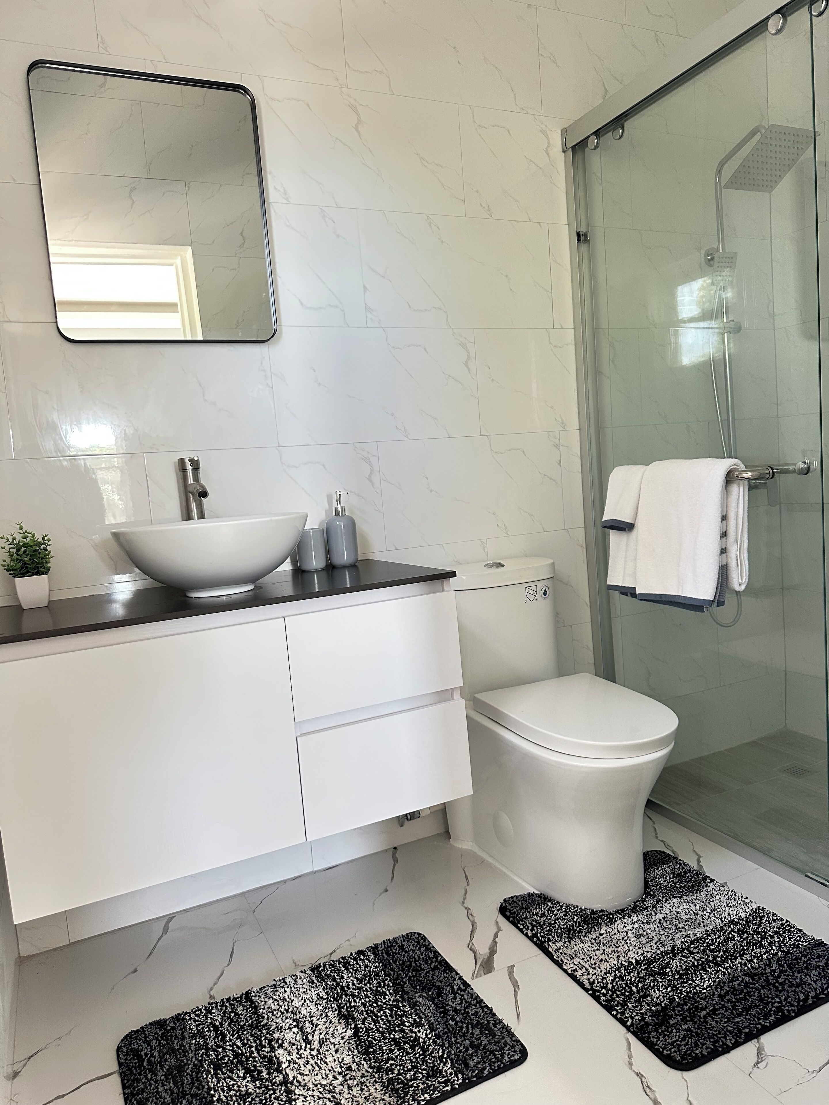 Shower, towels, soap, toilet paper