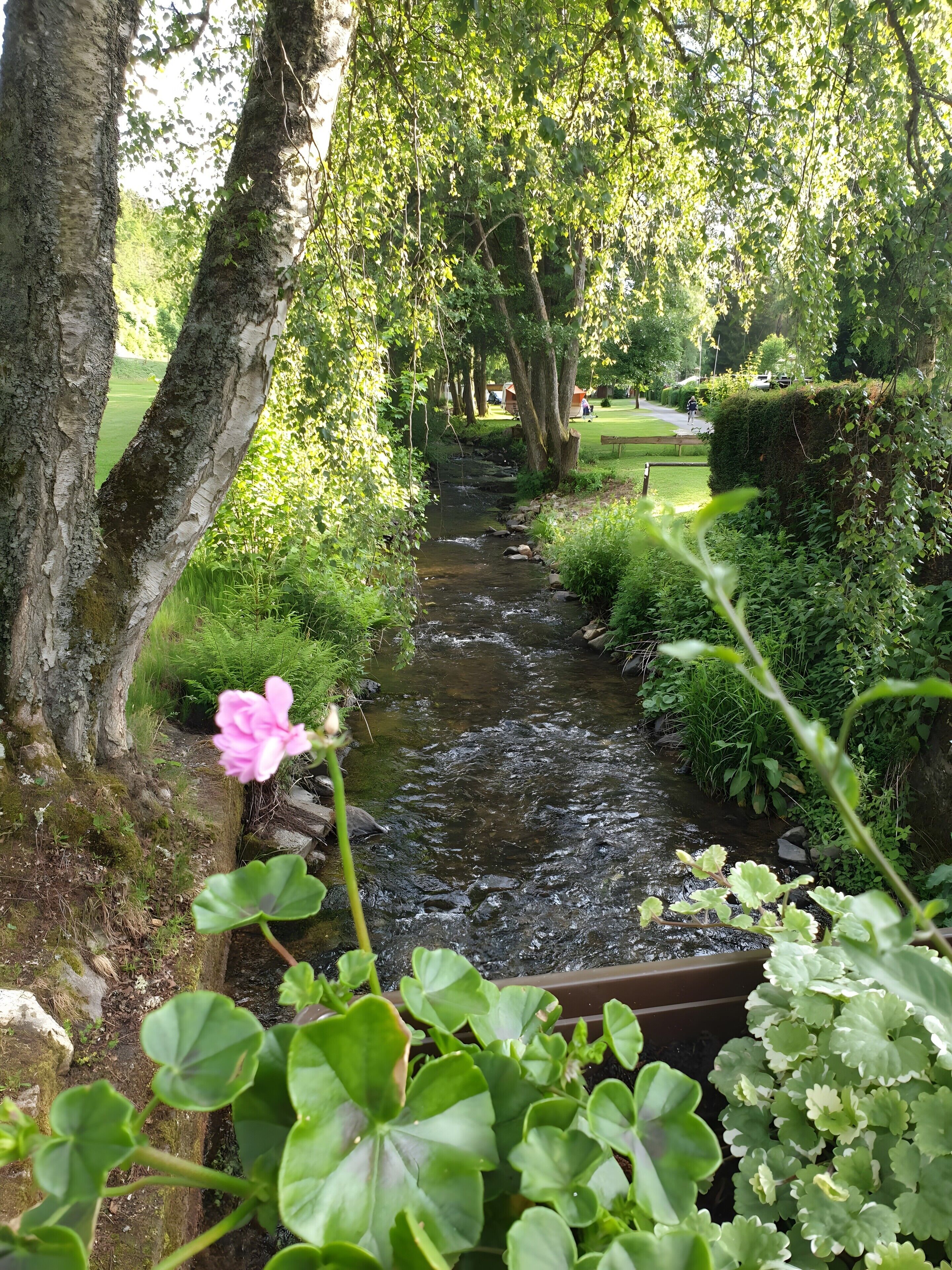 Overnatningsstedets område