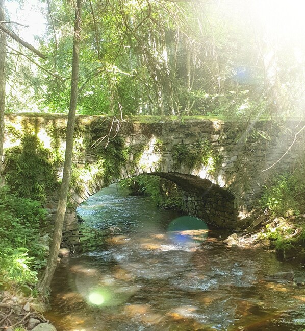 Un pont de pierre enjambe un ruisseau aux eaux claires, dans une zone boisée.