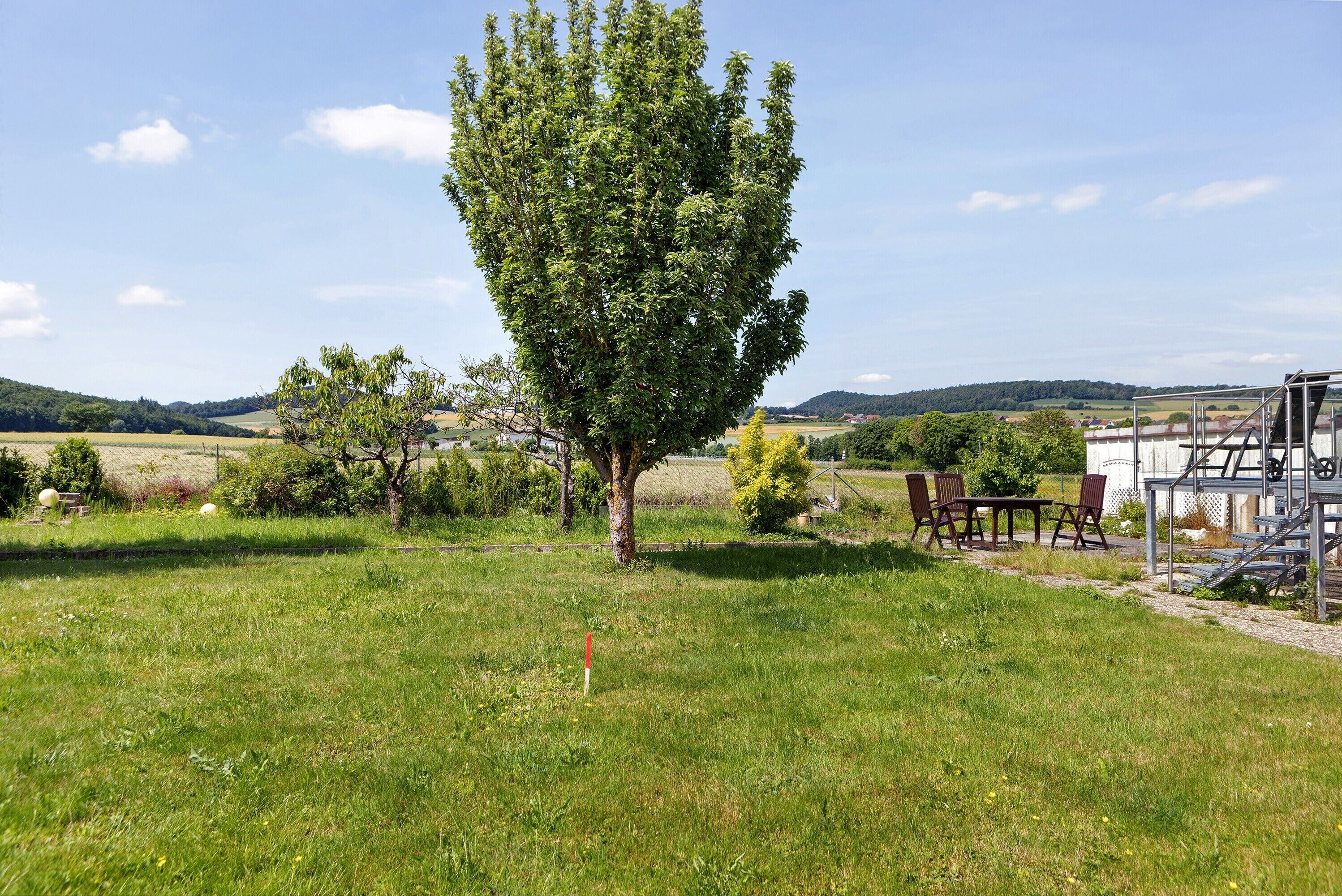 A grassy outdoor area with a tree, a table with chairs, and a metal structure.