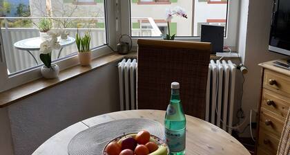 Ferienwohnung 'Wohnen Im Paradies' mit Balkon und WLAN