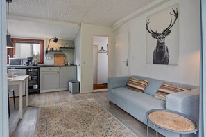 تلفزيون، مدفأة