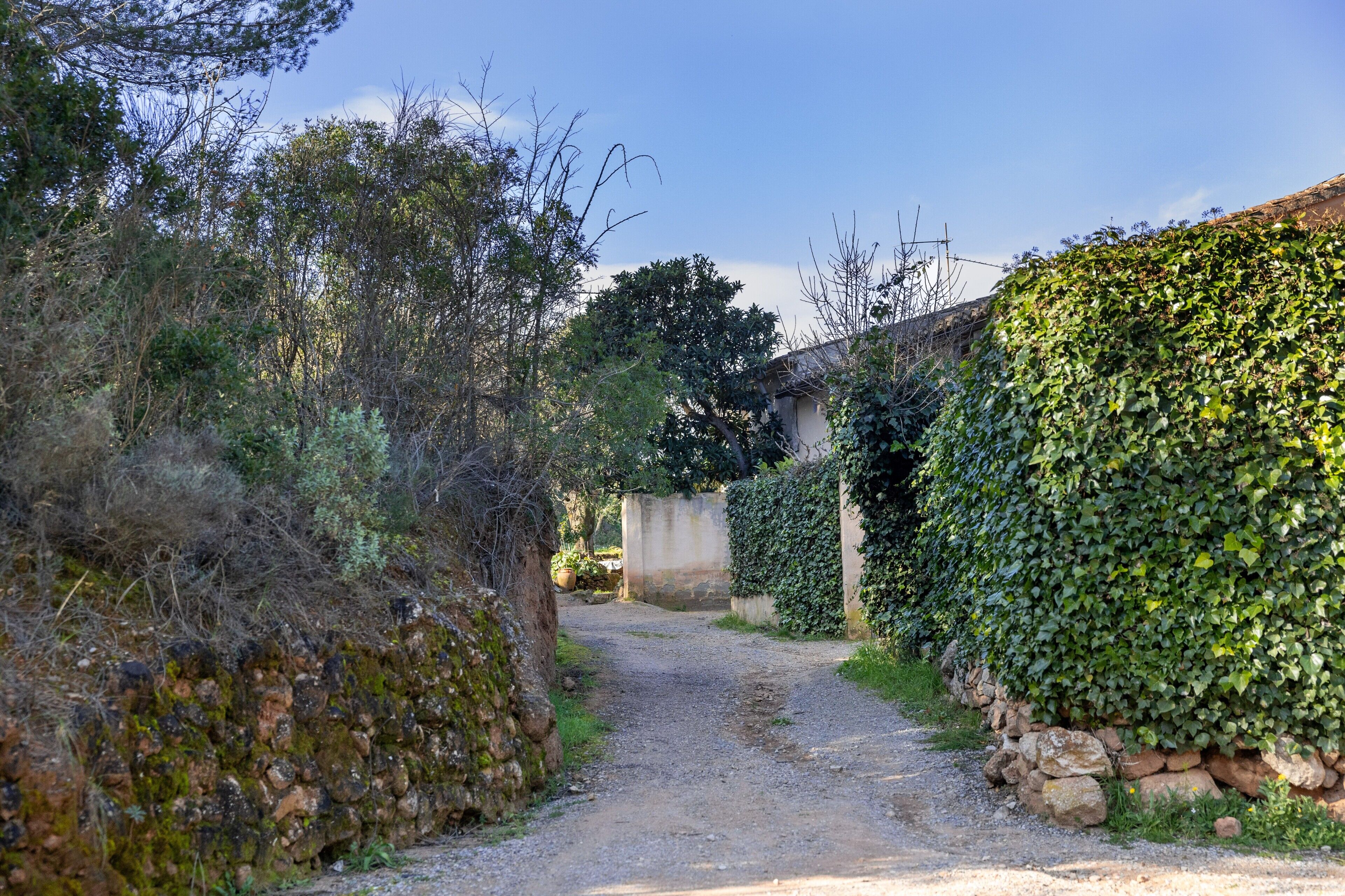 Áreas de la propiedad