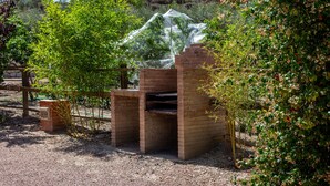 A brick-built outdoor structure with a transparent cover, surrounded by greenery and a brick wall.