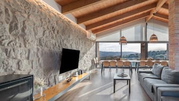 Televisión, chimenea, reproductor de DVD, mesa de ping pong