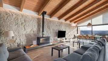 Televisión, chimenea, reproductor de DVD, mesa de ping pong