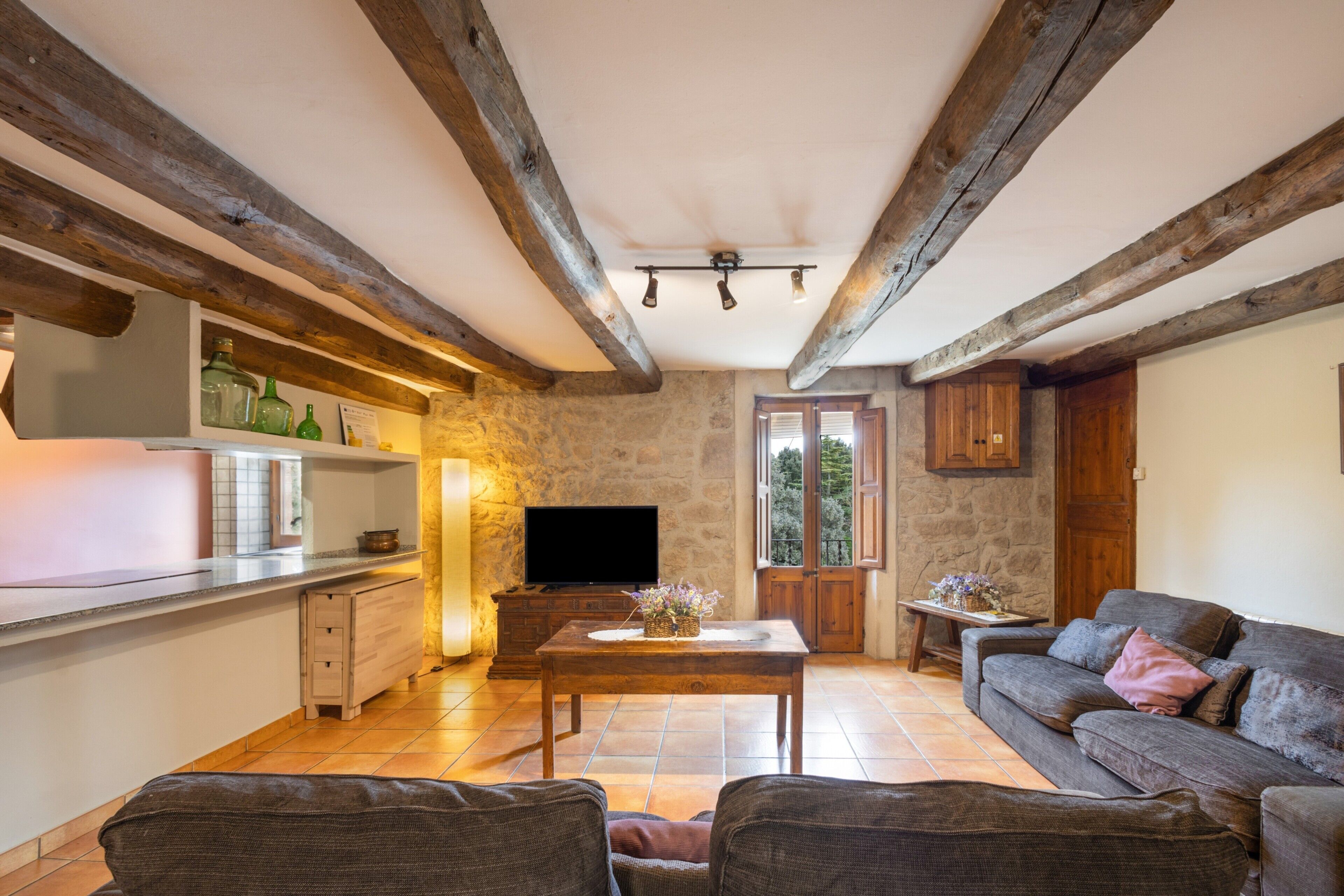 Televisión, chimenea, reproductor de DVD y tenis de mesa 