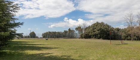 A grassy field with a soccer goal, trees, and a clear sky.