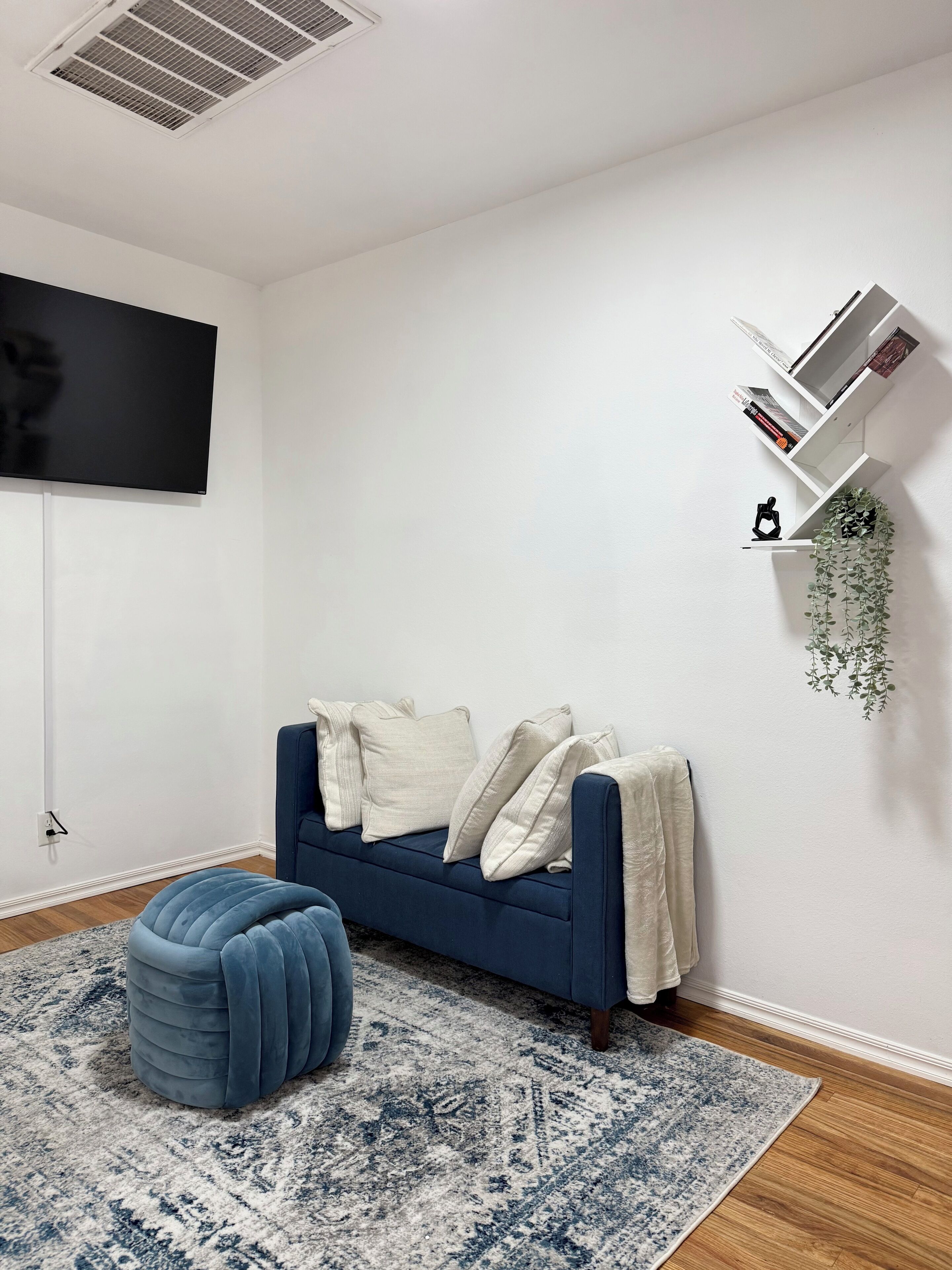 A modern living room with a blue sofa, a blue ottoman, a patterned rug, a mounted TV, and a white wall with a plant and bookshelf.
