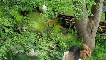 A garden with a stone fountain, lush greenery, and a statue.