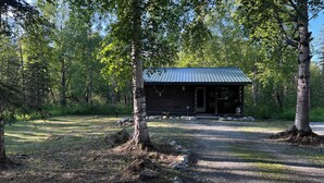 A rustic cabin with a metal roof, surrounded by trees and a gravel path leading to it.