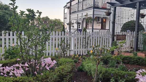 A two-story house with a white picket fence, surrounded by a garden with pink flowers and various plants. - Middleton House Maleny.  Picture perfect country house for small gatherings. (Witta)
